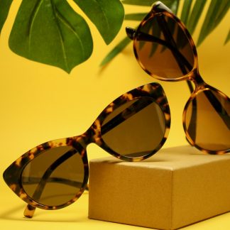 Wayfarer Sofía · Carey